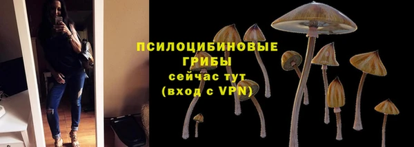мяу мяу мука Няндома