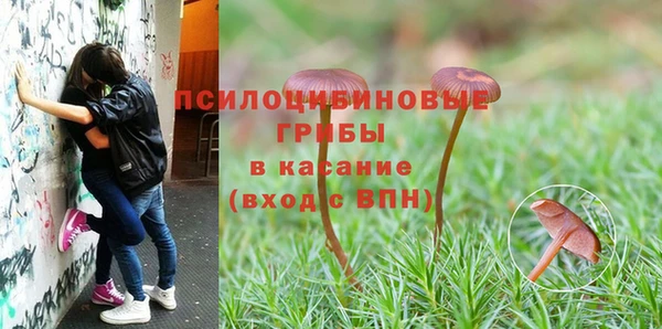 мяу мяу мука Няндома
