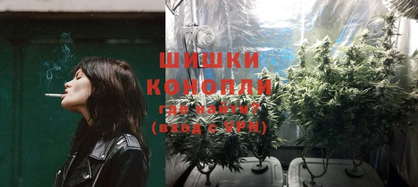 каннабис Новозыбков