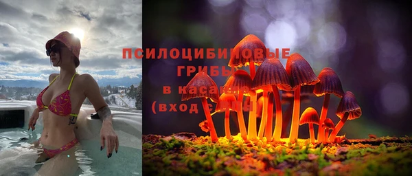 мяу мяу мука Няндома