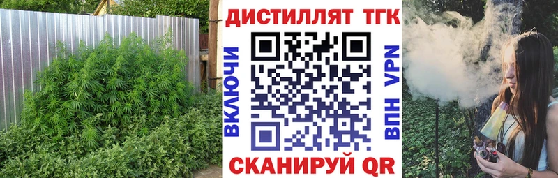 где найти   Ладушкин  Дистиллят ТГК THC oil 