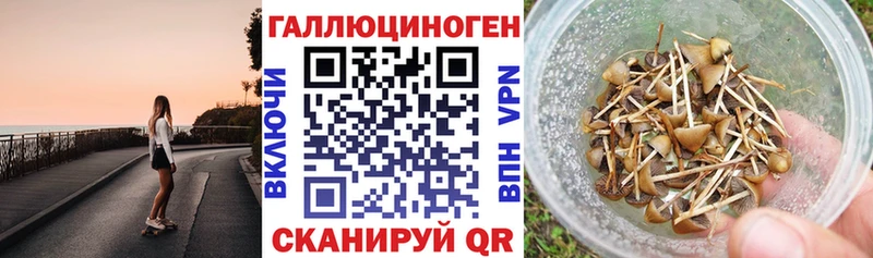 Псилоцибиновые грибы мухоморы Ладушкин