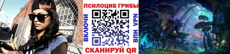 площадка какой сайт Ладушкин Галлюциногенные грибы мицелий сколько стоит