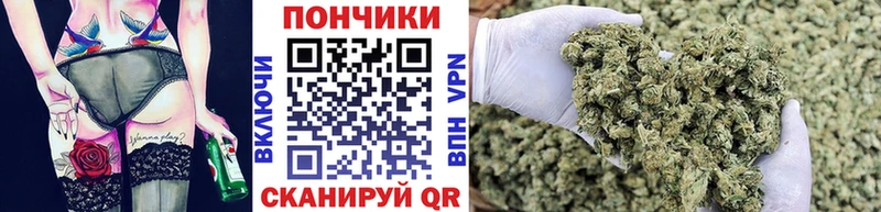 купить  сайты  Ладушкин  Бошки марихуана сатива 